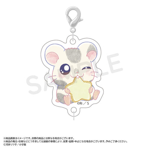 『とっとこハム太郎』~Twinkle Dreams~つながるアクリルチャーム【BOX】